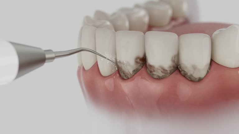 Reliable Dental contractor in Parker, CO by Dentist Open Now